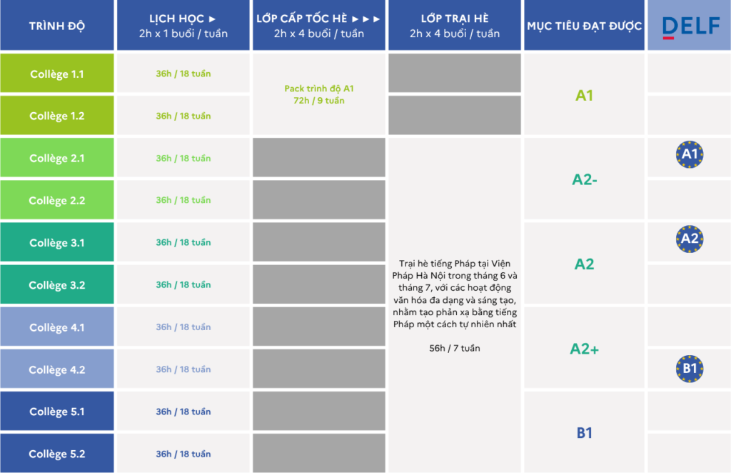 IF Vietnam - HỌC SINH THCS - Lộ trình học