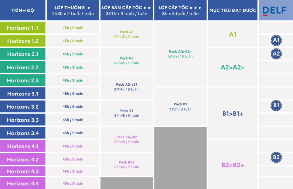 IF Vietnam - HỌC SINH THPT và người lớn - Lộ trình học
